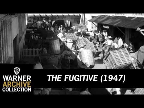 The Fugitive