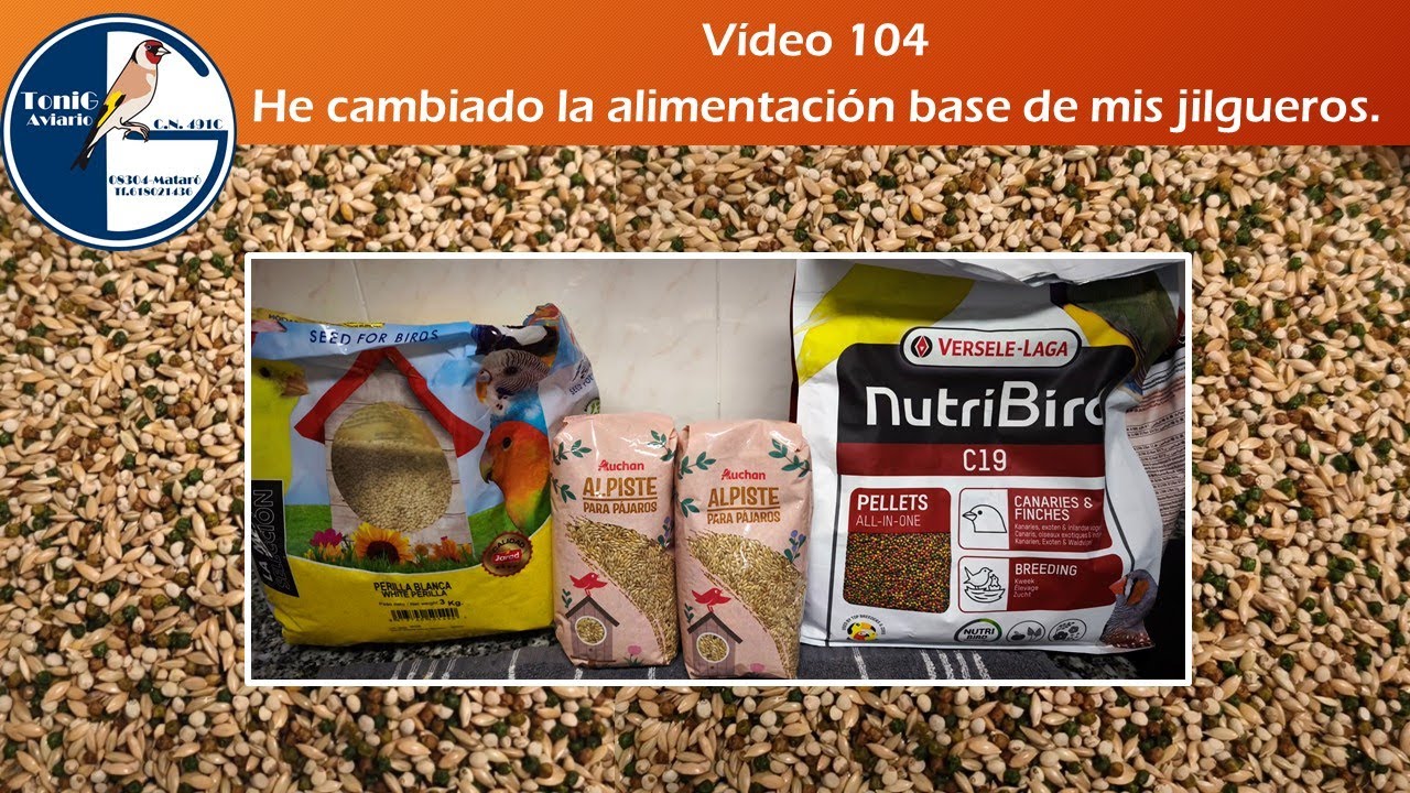 104   HE CAMBIADO LA ALIMENTACIÓN BASE DE MIS JILGUEROS