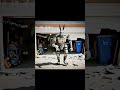 nosy escaped video #citra #nosey #escape #shorts