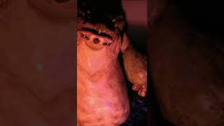 🔥 INTRO MONSTER – SEETHING BAZELGEUSE #shorts #gaming #mhrise #monsterhunter #movie