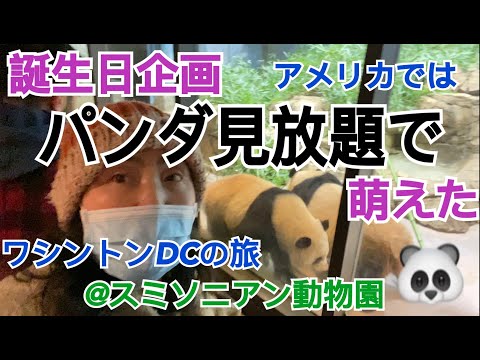 パンダを存分に拝める！スミソニアン動物園 in ワシントンDC