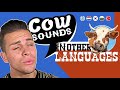Cow sounds in other languages 