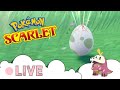 🔴 LIVE Pokemon ASMR │Shiny Hunting Fuecoco Attempt 12
