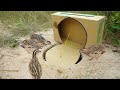 Creative DIY Quick Deep Hole Quail Brid Trap Make From Box & Hole