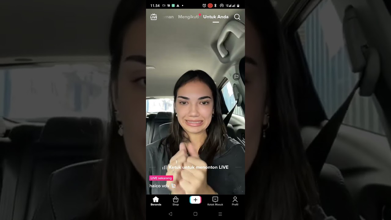 live haico van der veken