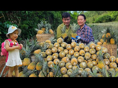 Enjoy The Happiness With Your Husband And The Delicious Taste Of The First Pineapple Of The Season