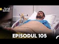 Fiica Ambasadorului Episodul 105 
