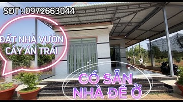 VÌ NỢ NGÂN HÀNG ĐÀNH PHẢI BÁN MÃNH VƯỜN CÂY ĂN TRÁI CHUẨN BỊ THU HOẠCH CÓ NHÀ,THỔ CƯ XÃ BÀU CHINH