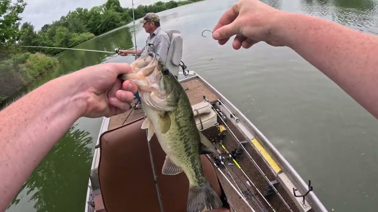 Post Spawn Resivoir Bass Fishing