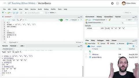 Basics of Vectors in R