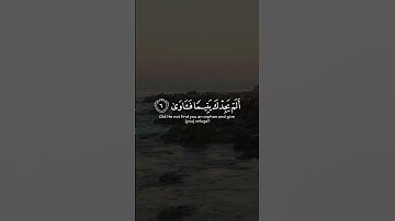 سورة الضحى بصوت ماهر المعيقلي #القرآن_الكريم #قرآن #quran #السعودية #الجزائر #المغرب #تونس #مصر