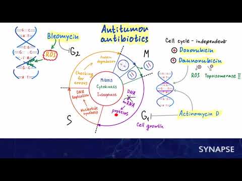 USMLE Step 1 - Anticancer therapy