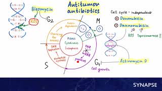 USMLE Step 1 - Anticancer therapy