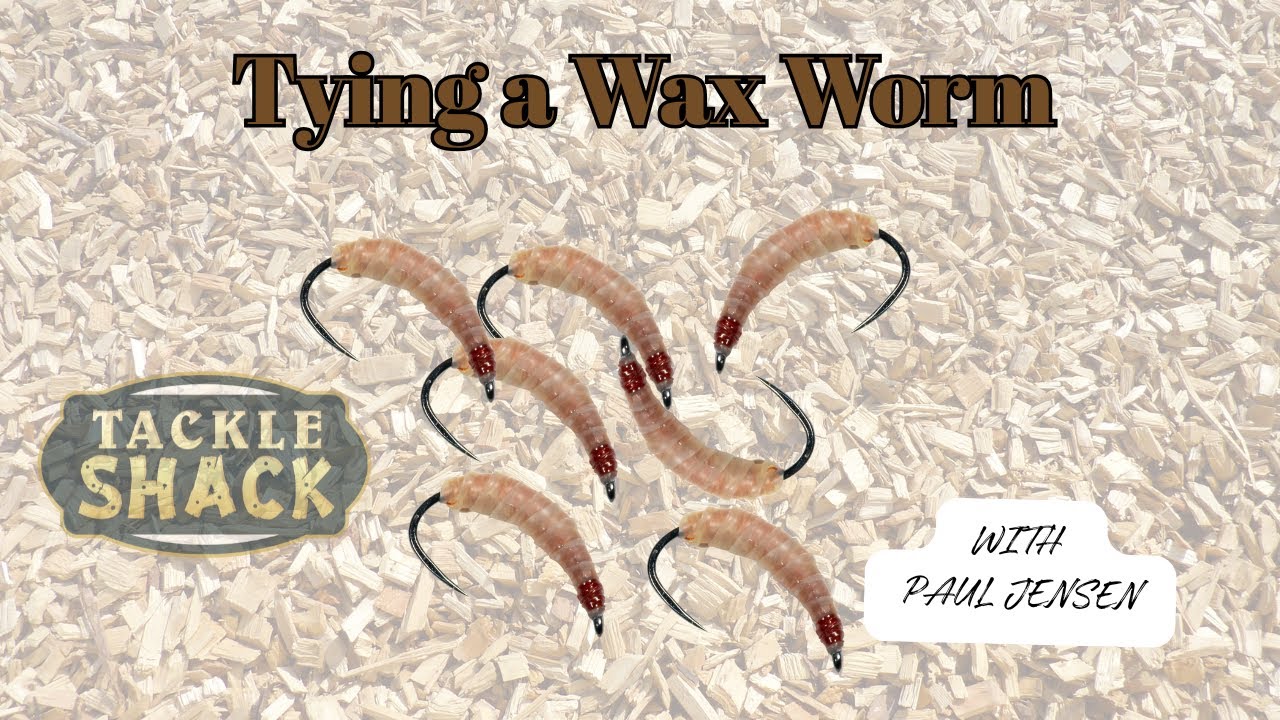 Вязание мушки из воскового червя — попробуйте использовать её и в подлёдный сезон!