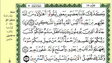 الصفحة 134 :سورة الأنعام من الآية 53 إلى 59