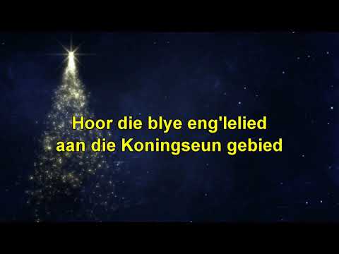 LB 365 Hoor