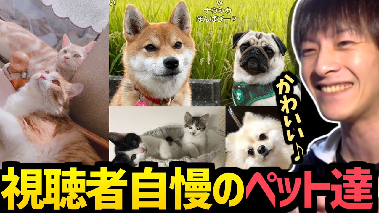 第一回視聴者参加型ペットコンテスト【2022/06/18】