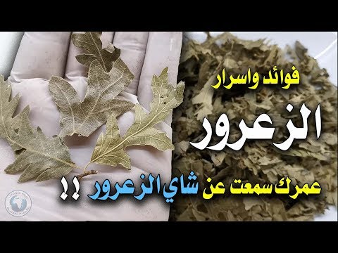 فيديو: الزعرور