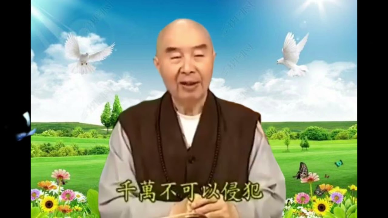 HOÀ THƯỢNG TỊNH KHÔNG giảng #loiphatday #daophat #phatphap #hoathuongtinhkhong 