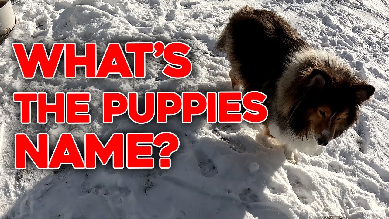 550 Gallon Underground Oil Tank Removal in Poughkeepsie NY