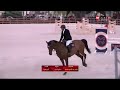 فعاليات اليوم الأول من مهرجان تحيا مصر للفروسية