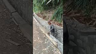 Dedesamsuri salah paham tukang ngaduk #kuli #komedi #pelesetan #bangunan #viral #videolucu