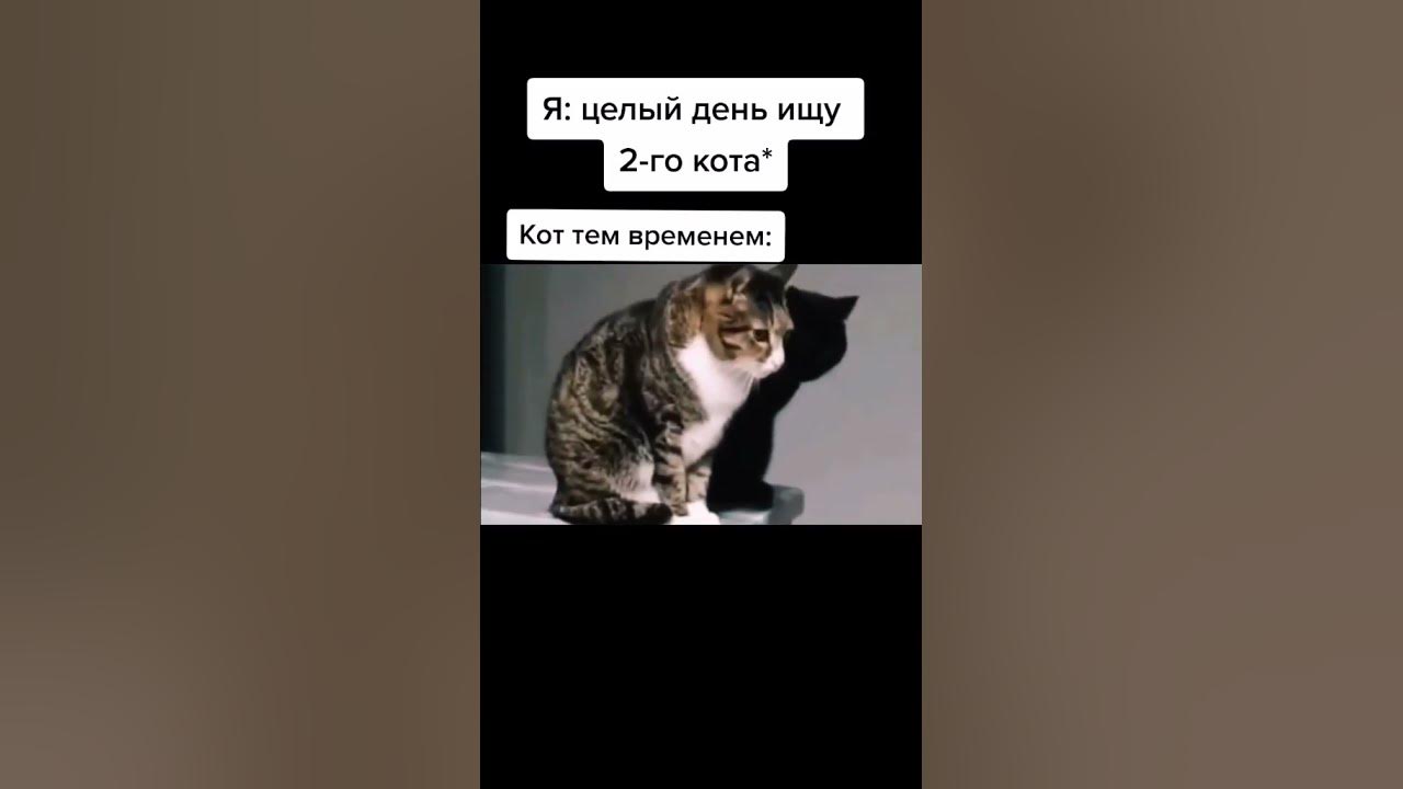 Steam Workshop::hehehehehehehe