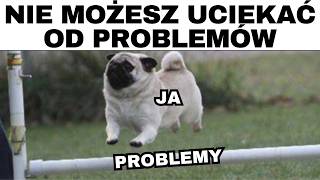 Memy Dzięki Którym Unikniesz Problemów