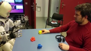 iCub Recognising Actions