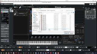 Steinberg Halion 6   Import FXP, FXB