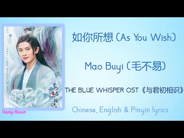 如你所想 (As You Wish) - Mao Buyi (毛不易)《The Blue Whisper 与君初相识》Chi/Eng/Pinyin lyrics class=