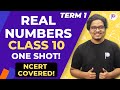 Real number class 10 term 1 one shot  class 10 maths  ncert covered