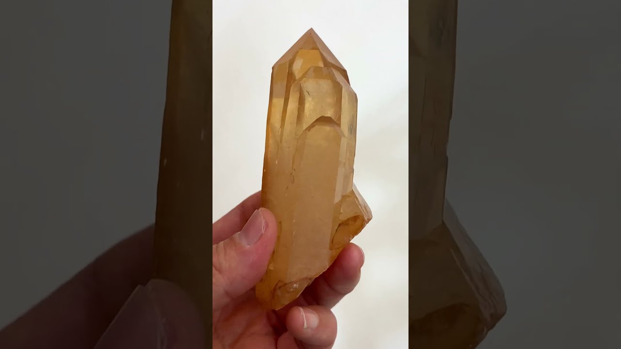 ブラジリアン・ゴールデンヒーラー/シングルポイント(W561)