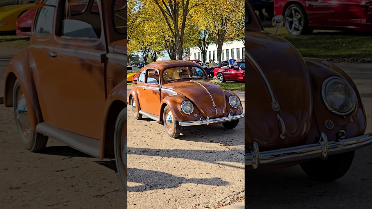 1951 Volkswagen Beetle Classic Car Drive By Engine Sound Packard Proving Grounds Fall 2024