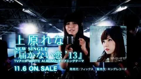 届かない恋 上原れな Mp3