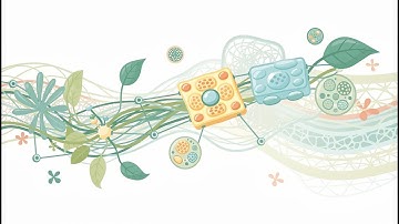 Overview of Biomaterials (7 Minutes)