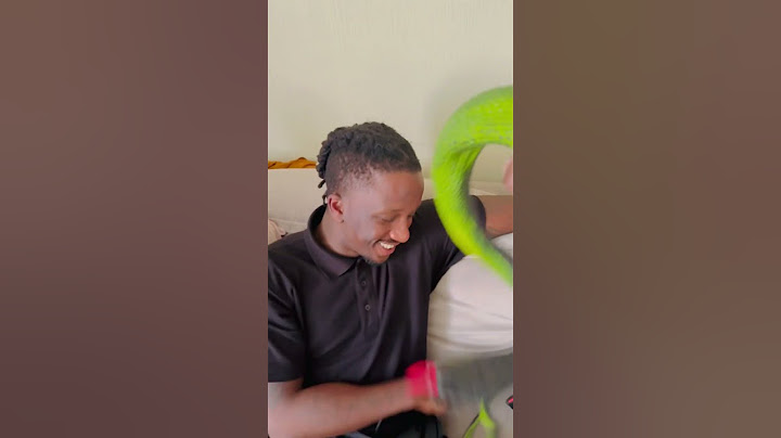 Snake is fake