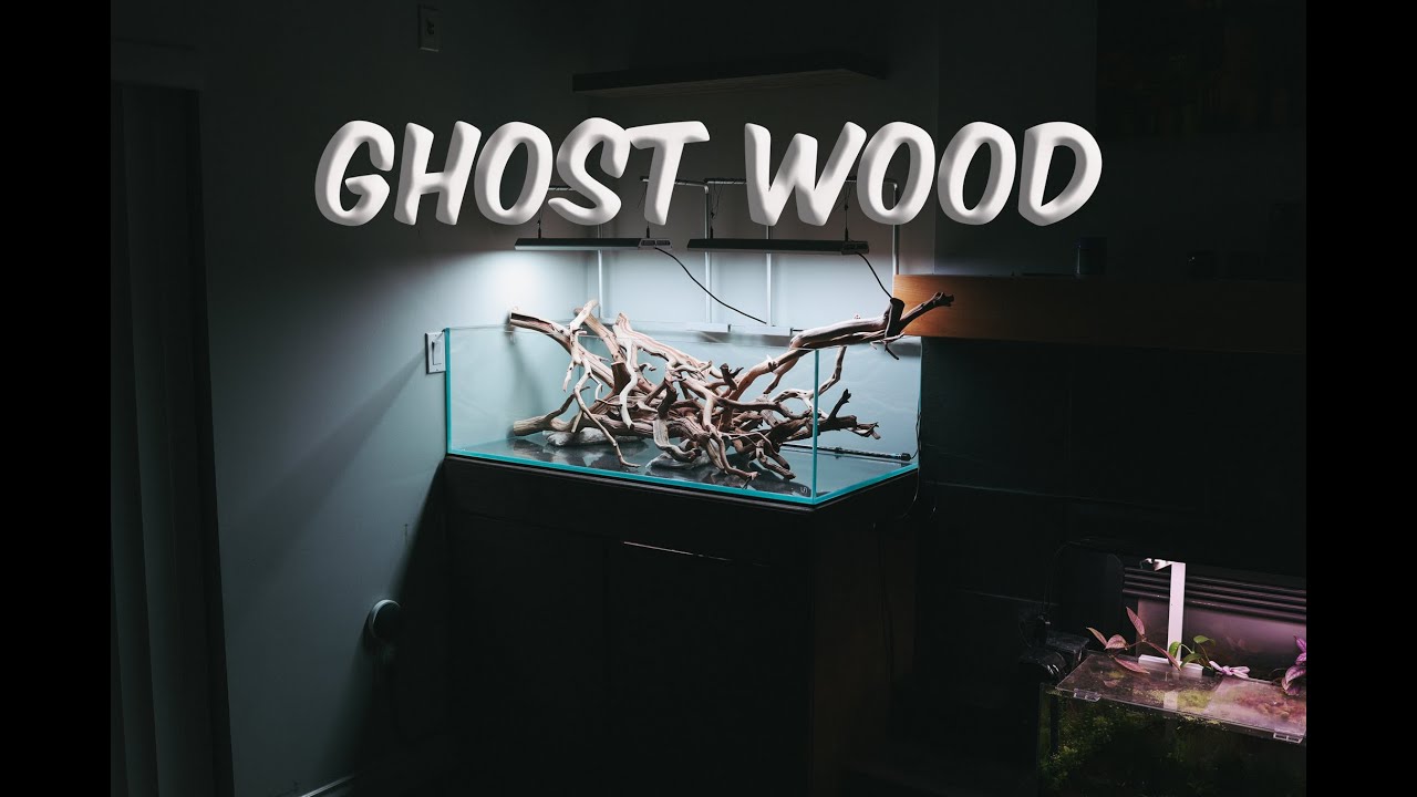 Using Ghost Wood in Aquascapes YouTube