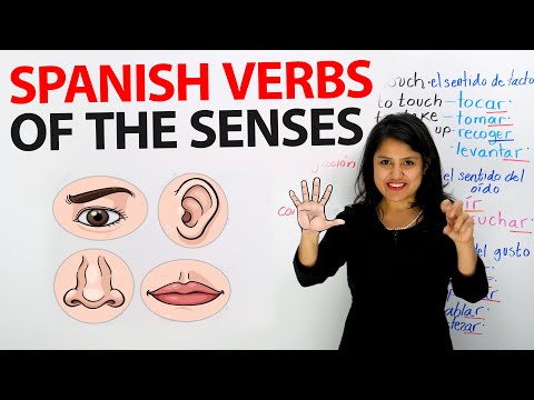 learn-20+-spanish-verbs-for-touch,-sight,-sound,-smell,-and-taste