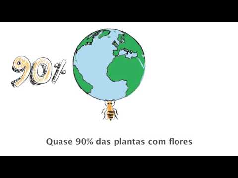 Conheça os Guardiões