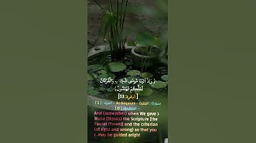 سورة البقرة الاية 53 #عبدالعزيز_الزهراني