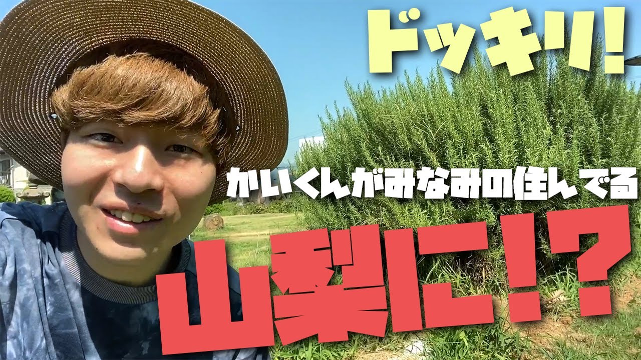 ドッキリ みみの出身地 山梨県に行ってみた Youtube