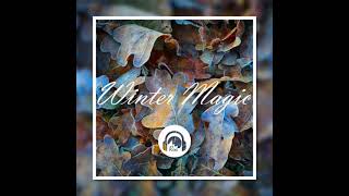 Roa - Winter Magic [non-copyright music] (free download)
