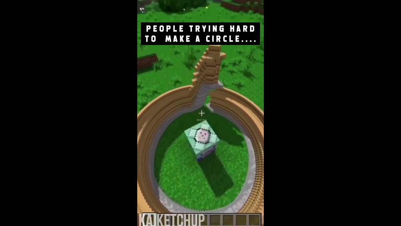 How Other Make Circles In Minecraft Vs I