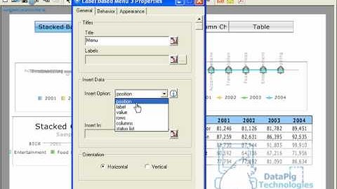 Create the Illusion of Tabs in Xcelsius - www.MyXcelsius.com