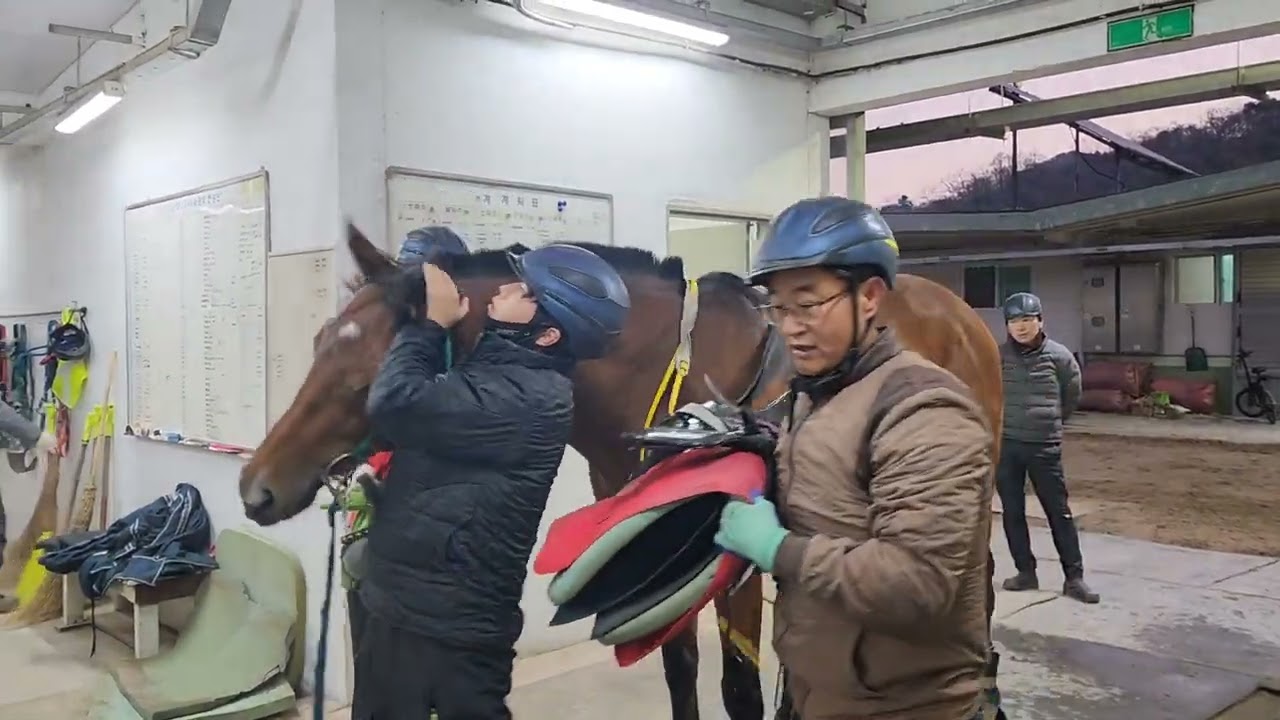 경마날 마방은 빨리 빨리~^그래도 성적은 좋아야?