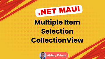 Multiple Item Selection in CollectionView in .NET MAUI | Abhay Prince