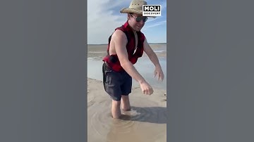 "Cát lún" và cách thoát khỏi cái bẫy kinh dị nhất mọi thời đại | Moli Discovery #shorts