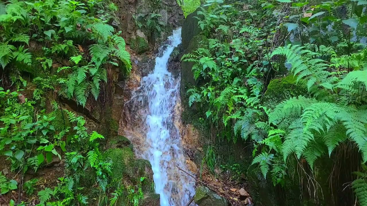 나즈막히 떨어지는 물방울이 되어