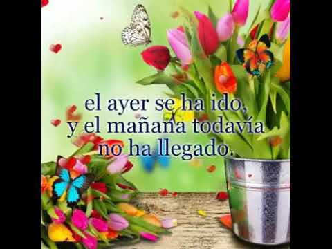 Hola Buenos Dias Amigas Hermosas Besos Youtube